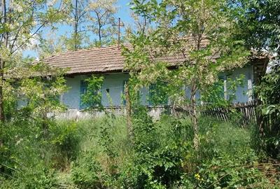 Casă cu 4 camere în Central - 2