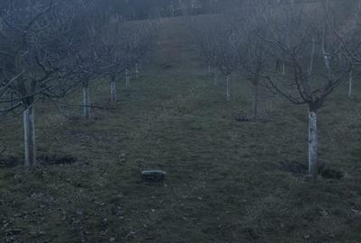 Casa de vanzare in Ora? Ludu?, str. Avrame?ti - 9