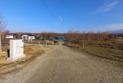 Teren intravilan, 1000 mp cu PUZ - locatie deosebita, Sibiu - Valea Avrigului - 2