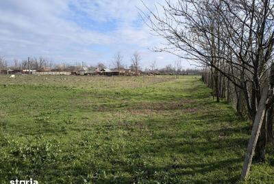 Teren de 4194 mp, în Central