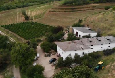 Teren extravilan de 230000 mp, în Vernești - 1