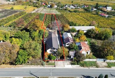 Casă individuală cu 6 camere cu Teren 1354 Mp în Țifești - 35