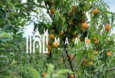 Casa individuala | 4 camere | Teren 2000 MP | Seica Mare - 7