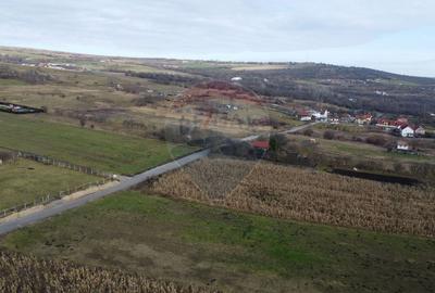 Teren agricol extravilan de 19375 mp, în Dâmbul Rotund - 5