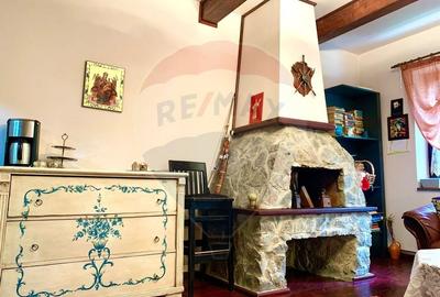 Pensiune cu 13 camere de vanzare in Bulz - 8