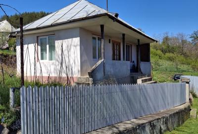 Casă de vânzare în Racoasa – 40 mp + teren 1.400 mp - 6