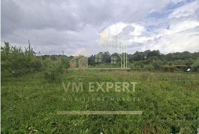 TEREN 20.621 MP CAMPULUNG - 1