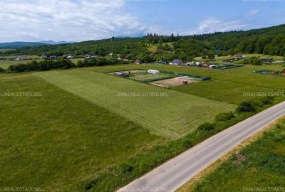 Teren 7500 mp cu potential turistic si rezidential Mina 1 mai - Vulcan Brasov - 6