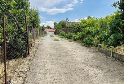 CASA P+M | TEREN 2200 MP | STRADA SOFIEI | ZONA DEALURI - 4