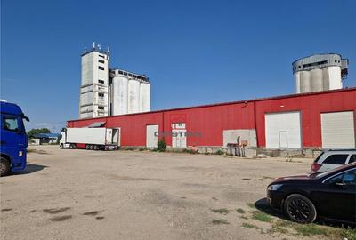 Depozit/hala/spatiu industrial Bragadiru - Alexandriei - A0 - 1