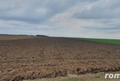 Teren de 27500 mp, în Belciugatele - 4