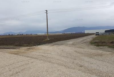 Teren Construcții intravilan de 2100 mp, în Griviței - 5