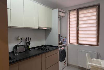 Apartament cu 3 camere decomandat, mobilat în Nicolae Grigorescu - 10