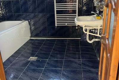 Vila Individuala P+1 | Centru Pucioasa | Proprietar - 7