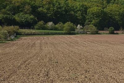 Teren agricol intravilan de 1600 mp, în Ampoița - 1
