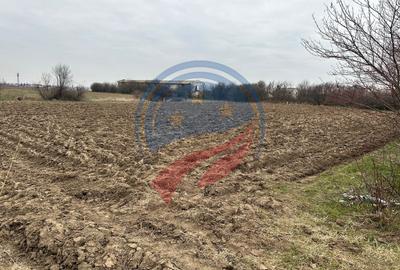 Teren Construcții intravilan de 935 mp, în Brădești - 2