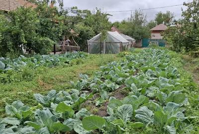 Casă cu 6 camere în Ștorobăneasa - 8