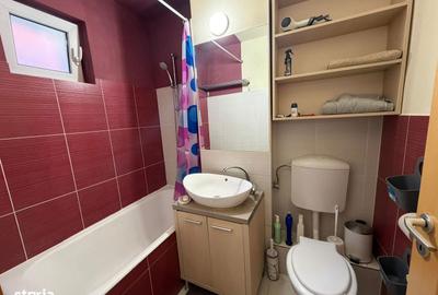 Apartament cu 3 camere decomandat în Triaj - 9
