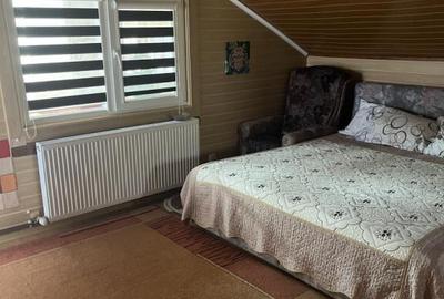 Casa Vladesti ?arina - 13