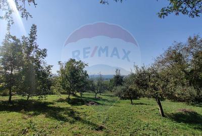 Teren de vanzare extravilan Ocolis - 6