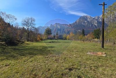 Teren intravilan cu vedere spectaculoasa spre Crucea Caraiman - 2