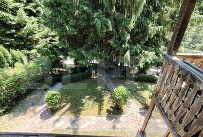 Cabana 5 camere Salard - 11