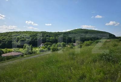 Teren de 3800 mp, în Iris - 4