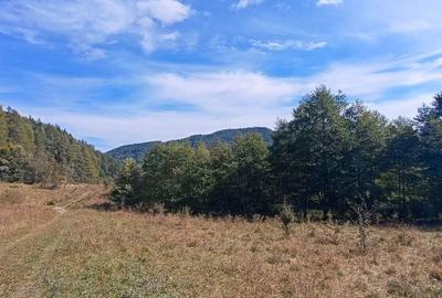 Teren in zona Bradet-Sacele - 9