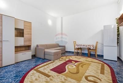 Apartament cu 1 camere decomandat, mobilat în Păcurari - 3