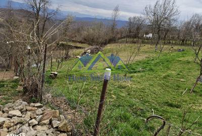 Casă cu 3 camere cu Teren 3996 Mp în Ghelari - 5