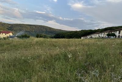 Teren Construcții intravilan de 9900 mp, în Florești