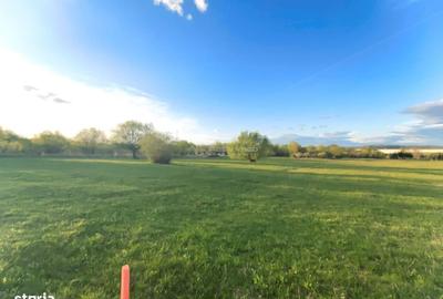 Spațiu comercial, în Central - 1