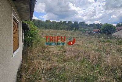 Casă cu 4 camere în Drâmbar - 4