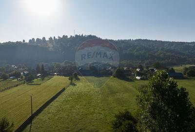 Casă cu 3 camere cu Teren 7255 Mp în Vama Buzăului - 1