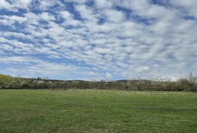 Teren pretabil pentru constructie casa, situat in Deva, zona Licee, statie meteo. - 1
