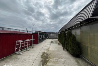 Teren de 4000 mp, în Ișalnița - 4