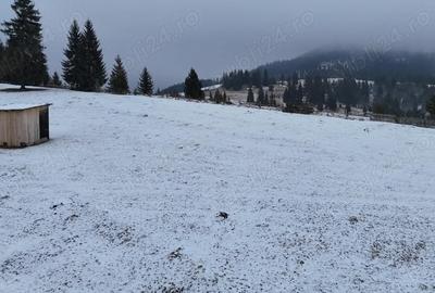 Teren de 25731 mp, în Breaza - 5