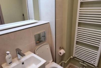 Apartament cu 2 camere semidecomandat, mobilat în Brazda lui Novac - 2
