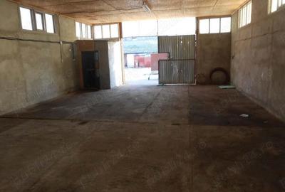 Vand hala de productie sau depozitare - 4