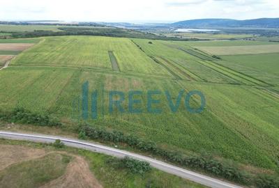 Teren de 3600 mp, în Racova - 3