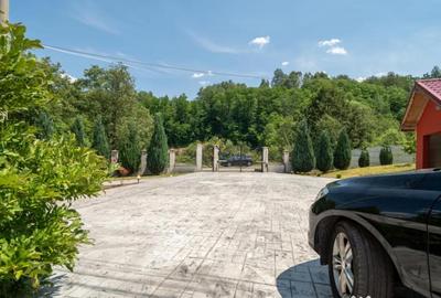 Casă cu 4 camere cu Teren 1500 Mp în Vulcan - 8