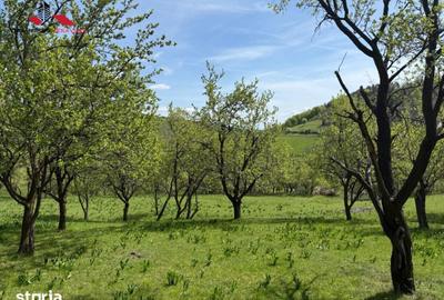 Teren de 8330 mp, în Vințu de Jos - 4