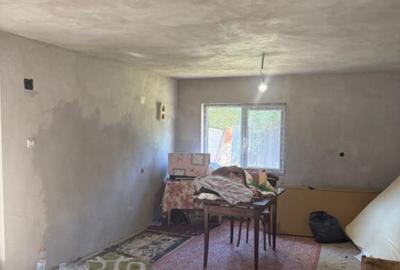 Casa 133 mp utili, 3300 mp teren, Ciutura - 11