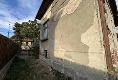 Casă cu 4 camere cu Teren 802 Mp în Elisabetin - 3