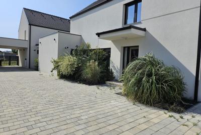 Monarch Soleil  - parchet , usi interioare, tamplarie din lemn natural - 3