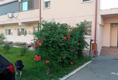 Spaiul Unirii 9, intre Sect. 3 si Popesti Leordeni - 2