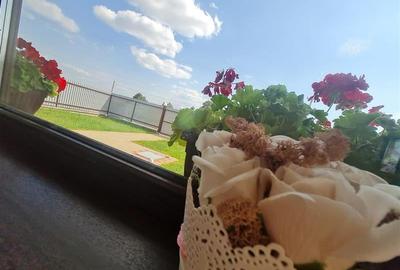 In stil mediteranean, curte proprie, 4 camere, terasa, pod mansardabil, Harman, - 30