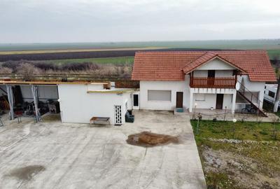 Casa cu teren de 14340 mp în Jebel/Pretabila pentru afacere - 4