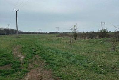 Teren de 5000 mp, în Bănești - 4