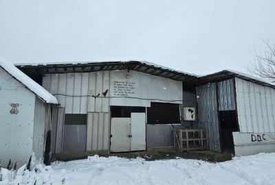 Teren de 11860 mp, în Călugăreni - 5